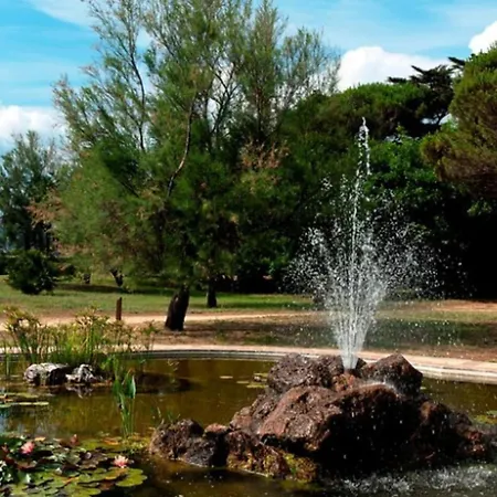 Beautiful In The Center Of Town