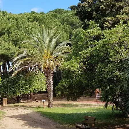 Beautiful In The Center Of Town Sainte-Maxime
