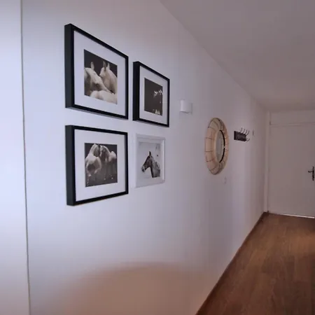 Apartment Beautiful In The Center Of Town