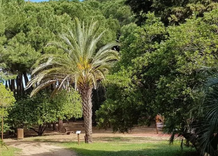 Beautiful In The Center Of Town Sainte-Maxime